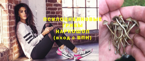 герыч Балахна