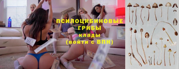трава Надым