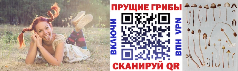 Псилоцибиновые грибы Cubensis  Облучье 